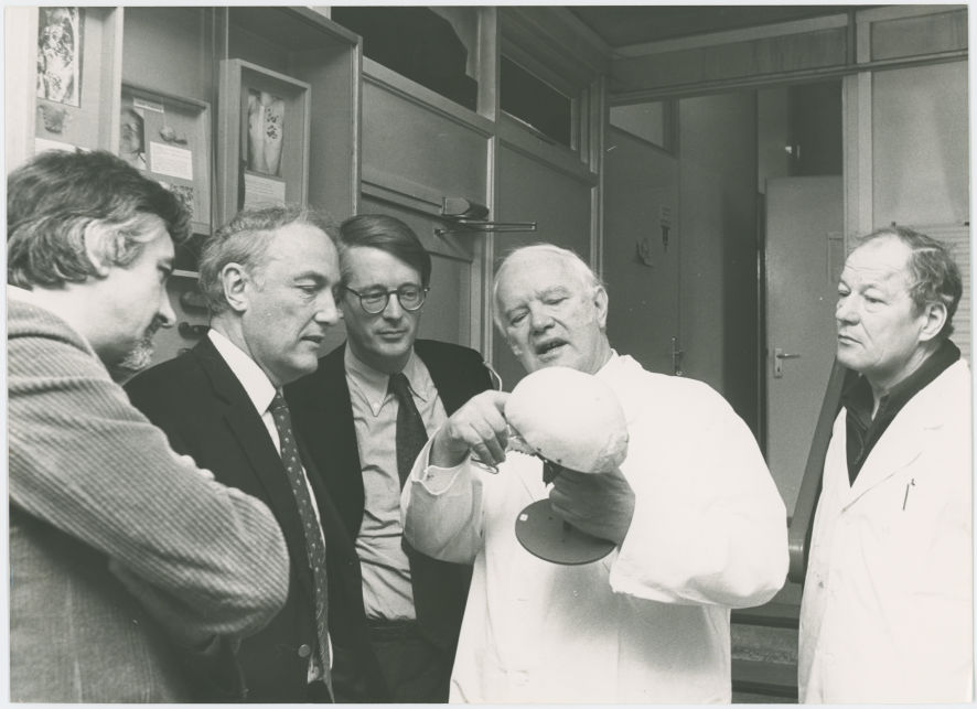 Erklärung des menschlichen Schädels