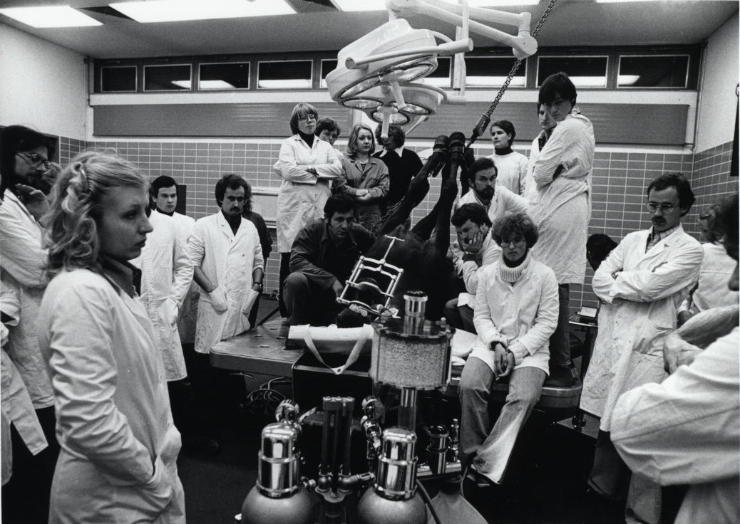  Pferd auf Operationstisch